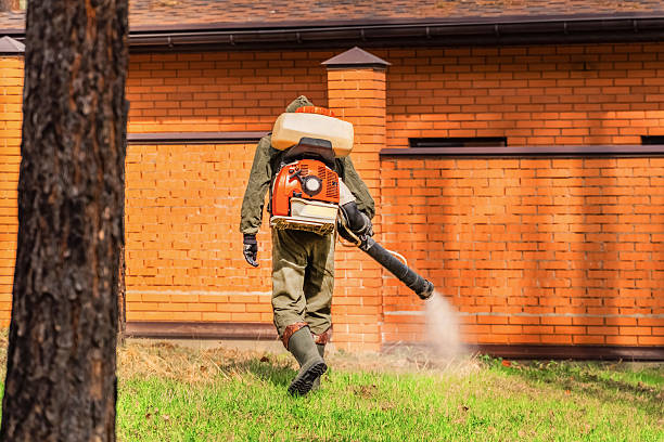 Trusted Termite Control service in Trenton, TN - Nex Pest Control